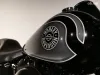 Harley-Davidson FLSTC Thumbnail 2